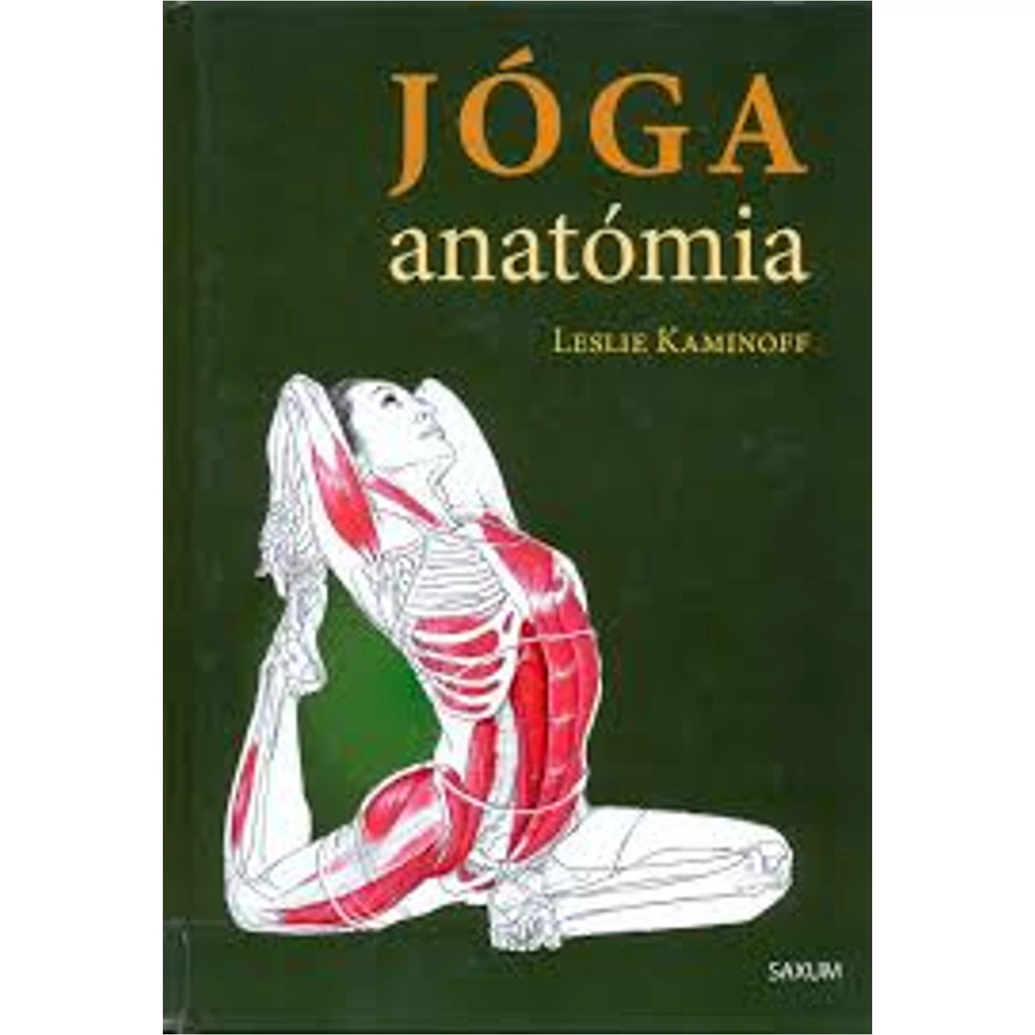 Jógaanatómia