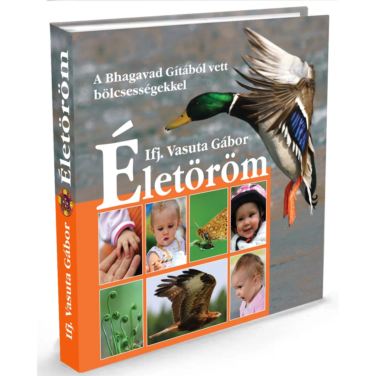 Életöröm - Bhagavad Gita idézetek babafotókkal