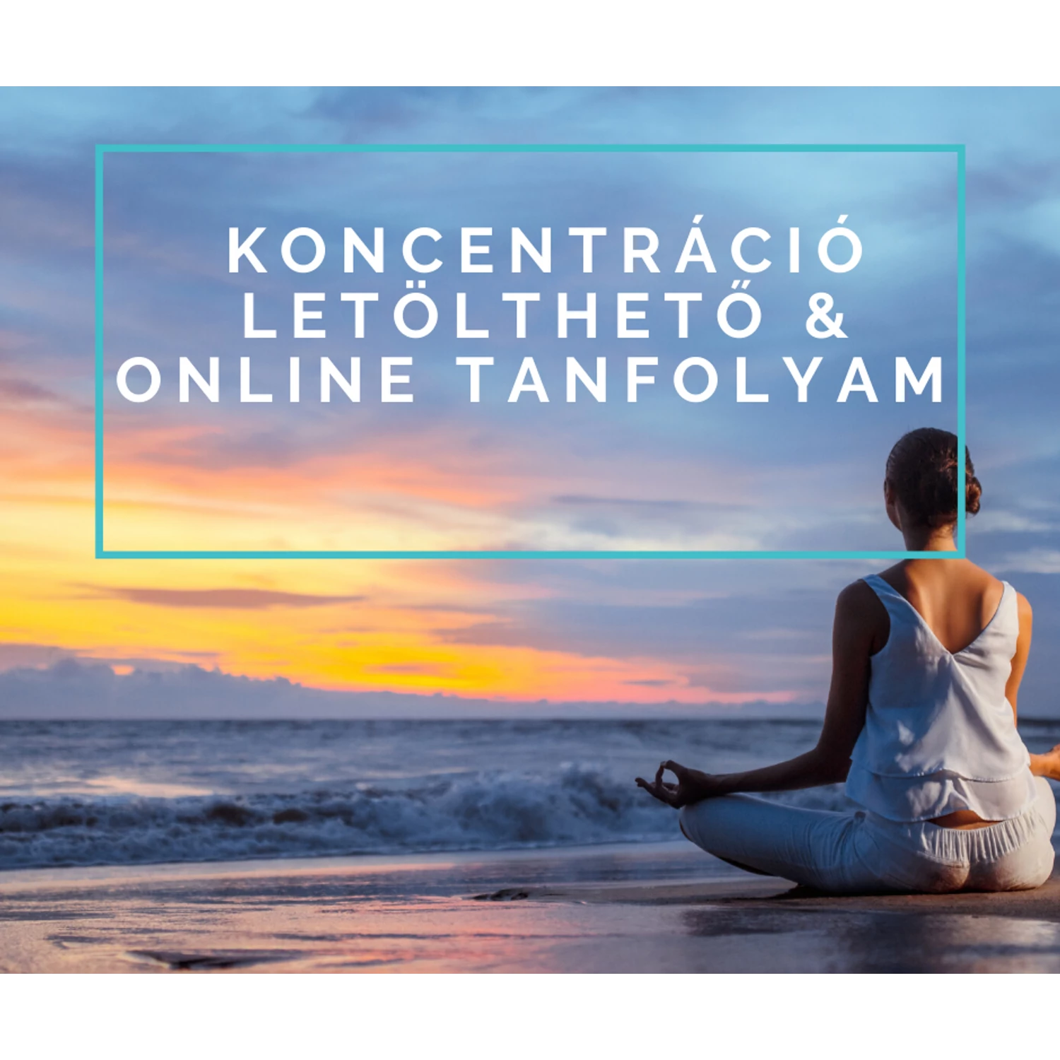 Koncentráció - letölthető & online tanfolyam