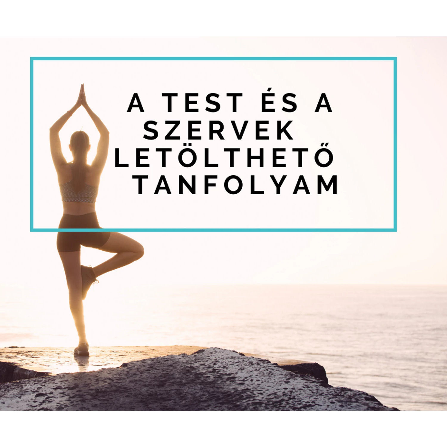 A test és a szervek - Online meditációs tanfolyam, letölthető