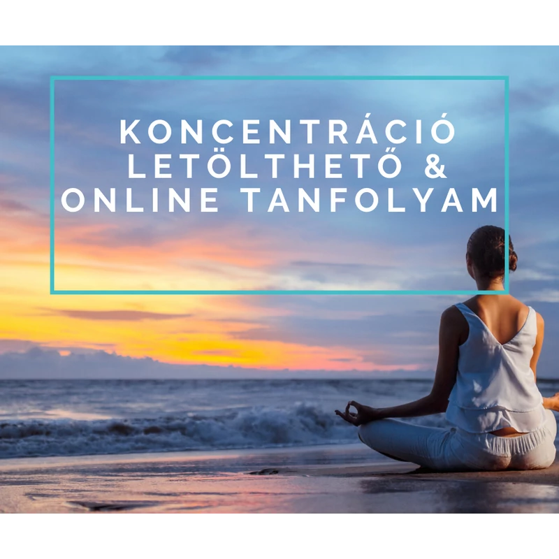 Koncentráció - letölthető & online tanfolyam